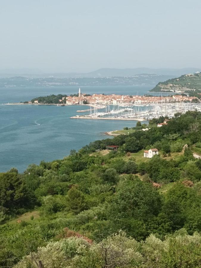 Appartamento Casa Furlan Izola Esterno foto